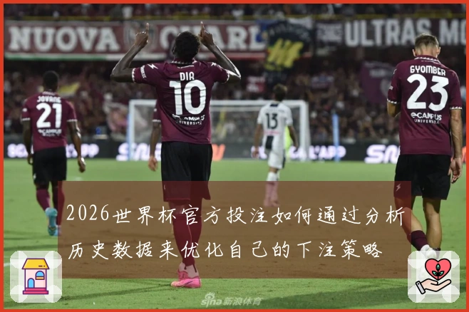 2026世界杯官方投注如何通过分析历史数据来优化自己的下注策略