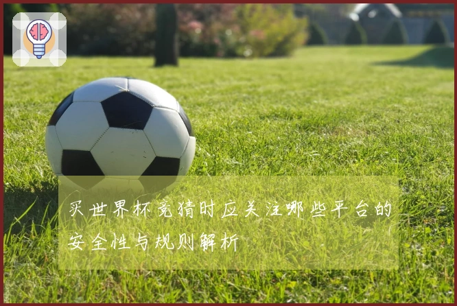 买世界杯竞猜时应关注哪些平台的安全性与规则解析