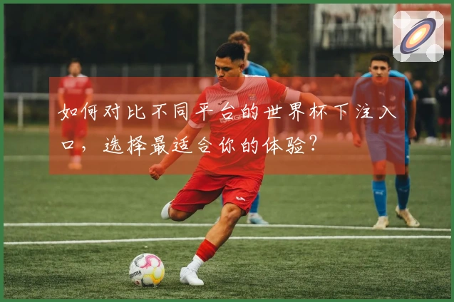 如何对比不同平台的世界杯下注入口，选择最适合你的体验？