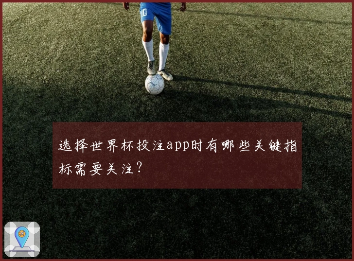选择世界杯投注app时有哪些关键指标需要关注？