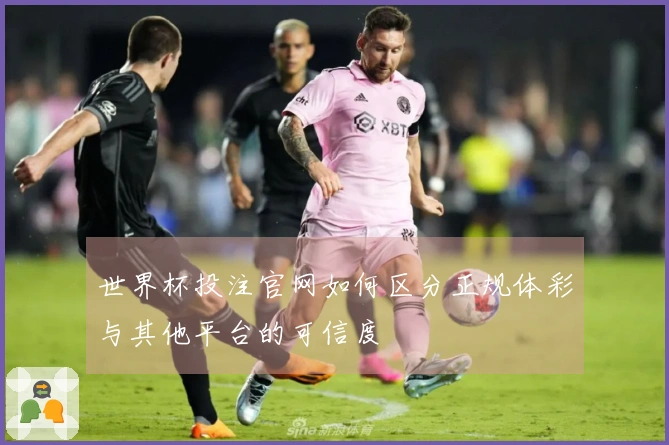 世界杯投注官网如何区分正规体彩与其他平台的可信度
