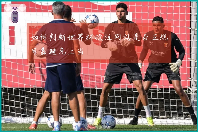 如何判断世界杯投注网站是否正规可靠避免上当