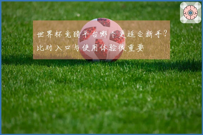 世界杯竞猜平台哪个更适合新手？比对入口与使用体验很重要
