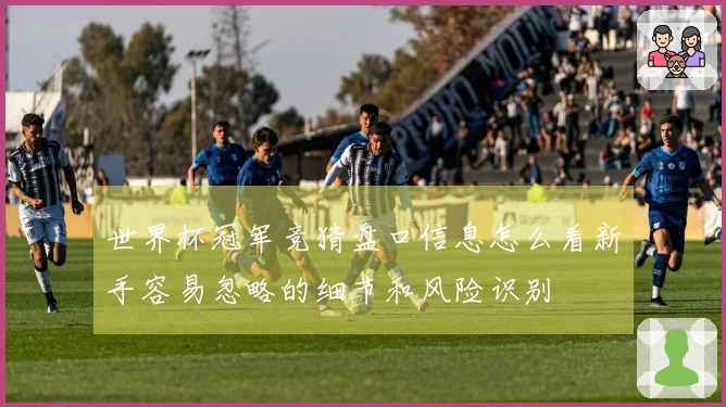 世界杯冠军竞猜盘口信息怎么看新手容易忽略的细节和风险识别