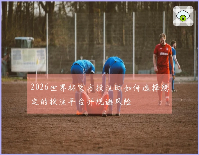 2026世界杯官方投注时如何选择稳定的投注平台并规避风险
