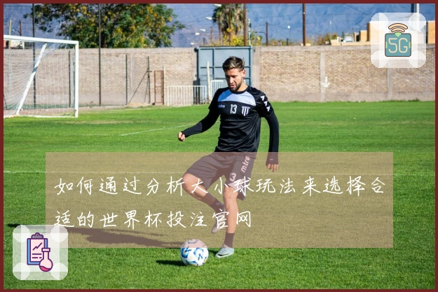 如何通过分析大小球玩法来选择合适的世界杯投注官网