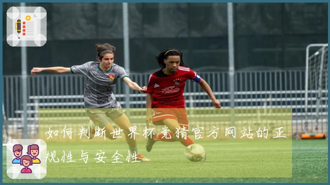 如何判断世界杯竞猜官方网站的正规性与安全性