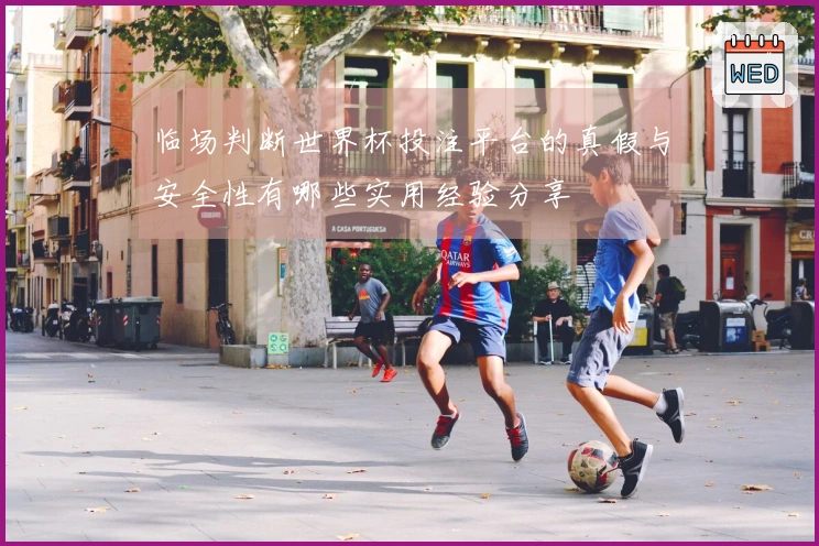 临场判断世界杯投注平台的真假与安全性有哪些实用经验分享