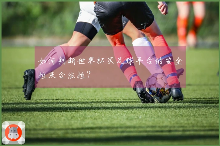 如何判断世界杯买足球平台的安全性及合法性？