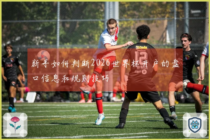 新手如何判断2026世界杯开户的盘口信息和规则技巧