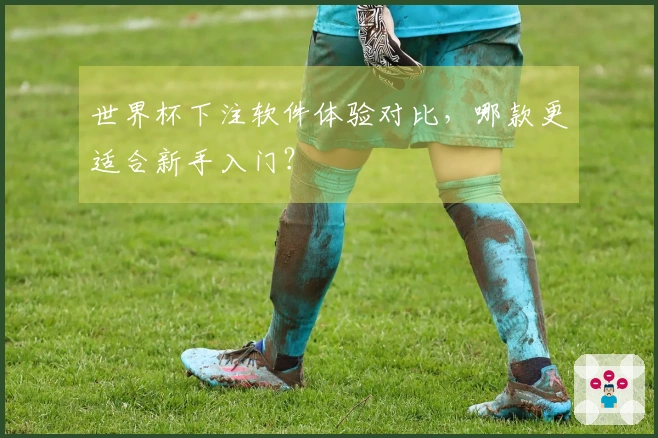世界杯下注软件体验对比，哪款更适合新手入门？