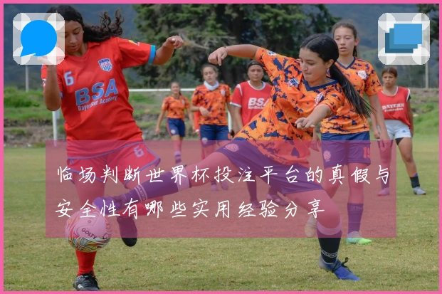 临场判断世界杯投注平台的真假与安全性有哪些实用经验分享