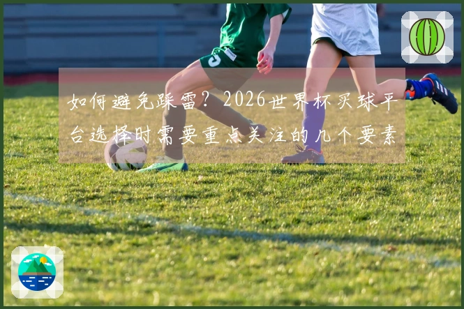 如何避免踩雷？2026世界杯买球平台选择时需要重点关注的几个要素