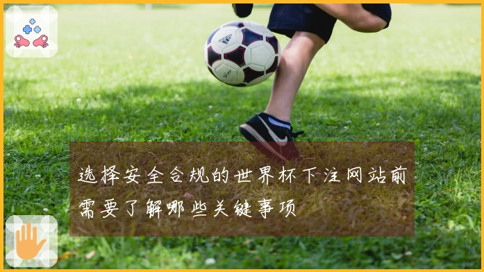 选择安全合规的世界杯下注网站前需要了解哪些关键事项