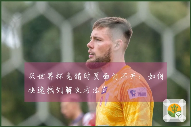 买世界杯竞猜时页面打不开，如何快速找到解决方法？