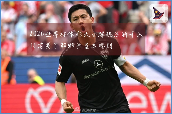 2026世界杯体彩大小球玩法新手入门需要了解哪些基本规则