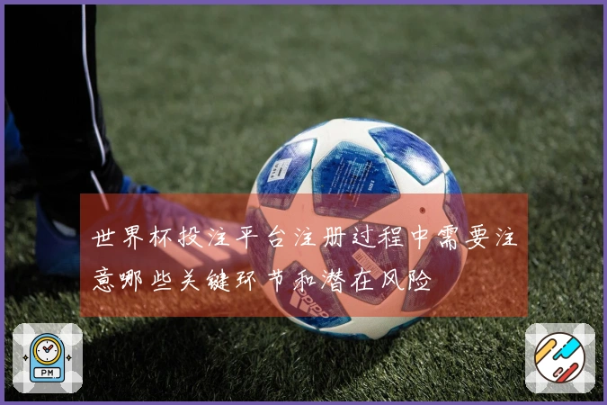 世界杯投注平台注册过程中需要注意哪些关键环节和潜在风险