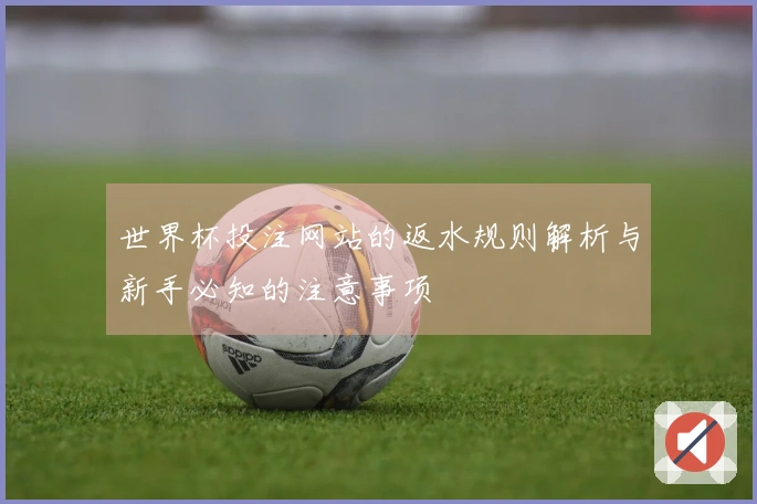 世界杯投注网站的返水规则解析与新手必知的注意事项