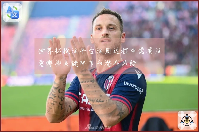 世界杯投注平台注册过程中需要注意哪些关键环节和潜在风险