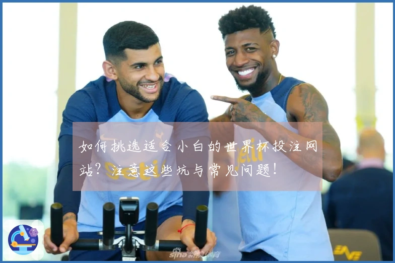 如何挑选适合小白的世界杯投注网站？注意这些坑与常见问题！