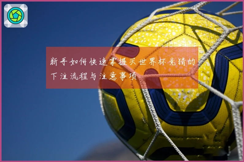 新手如何快速掌握买世界杯竞猜的下注流程与注意事项