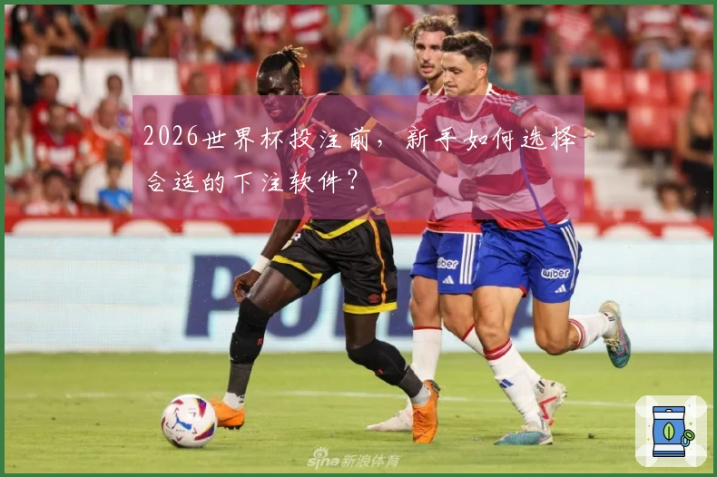 2026世界杯投注前，新手如何选择合适的下注软件？