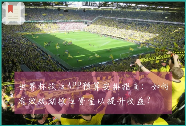 世界杯投注APP预算安排指南：如何有效规划投注资金以提升收益？