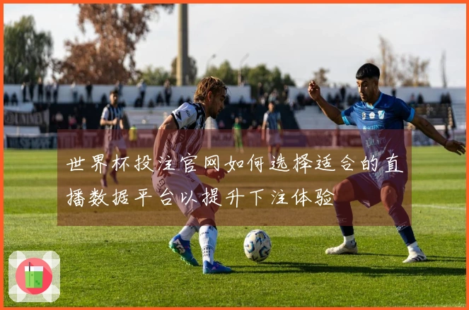 世界杯投注官网如何选择适合的直播数据平台以提升下注体验