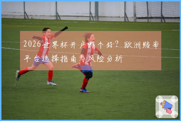 2026世界杯开户哪个好?欧洲赔率平台选择指南与风险分析