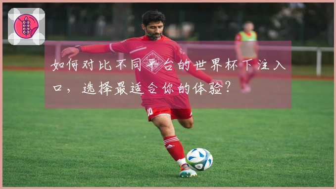 如何对比不同平台的世界杯下注入口，选择最适合你的体验？