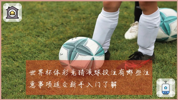 世界杯体彩竞猜滚球投注有哪些注意事项适合新手入门了解