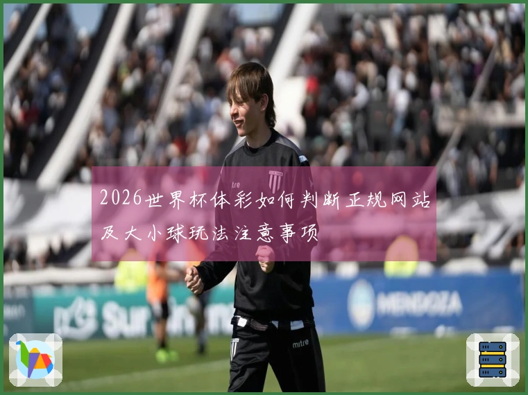 2026世界杯体彩如何判断正规网站及大小球玩法注意事项