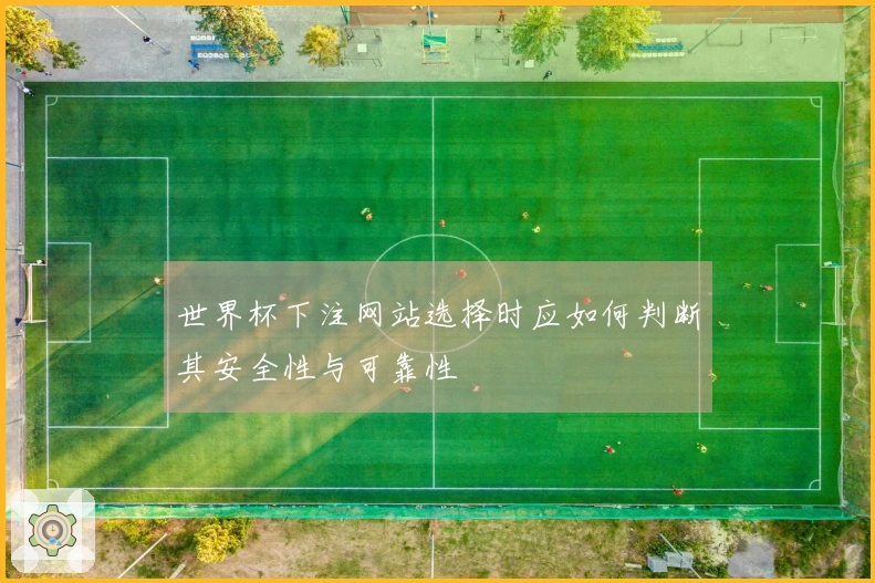 世界杯下注网站选择时应如何判断其安全性与可靠性