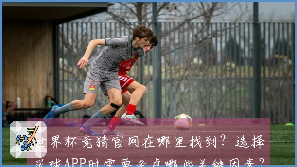 世界杯竞猜官网在哪里找到？选择买球APP时需要考虑哪些关键因素？