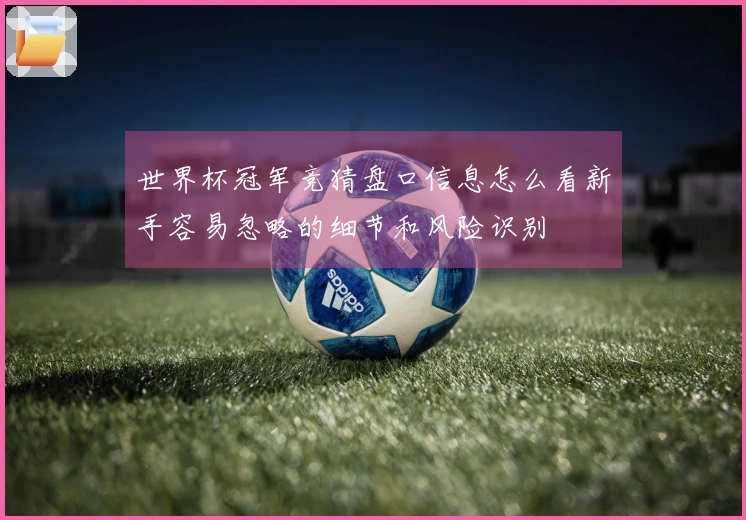 世界杯冠军竞猜盘口信息怎么看新手容易忽略的细节和风险识别