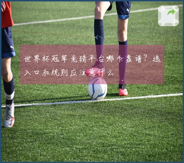世界杯冠军竞猜平台哪个靠谱？选入口和规则应注意什么