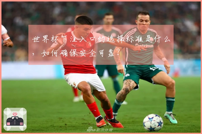 世界杯下注入口的选择标准是什么，如何确保安全可靠？