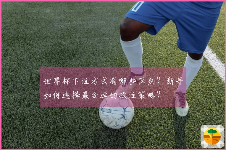 世界杯下注方式有哪些区别？新手如何选择最合适的投注策略？