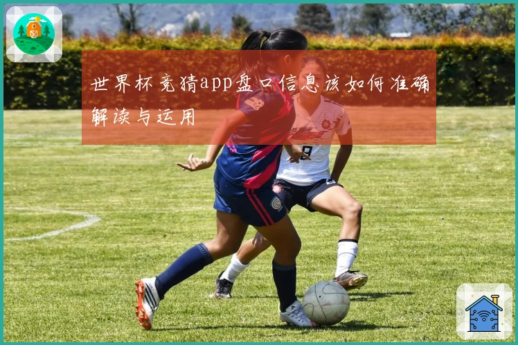 世界杯竞猜app盘口信息该如何准确解读与运用