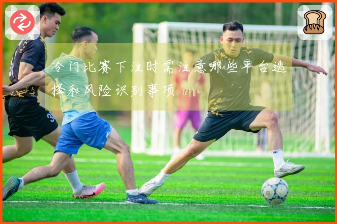 冷门比赛下注时需注意哪些平台选择和风险识别事项