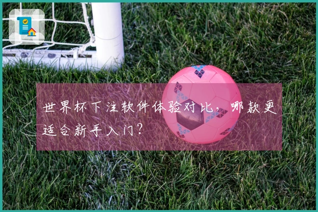 世界杯下注软件体验对比，哪款更适合新手入门？