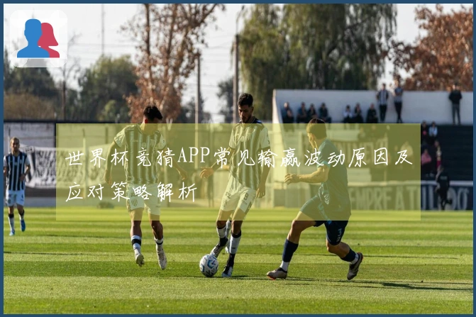 世界杯竞猜APP常见输赢波动原因及应对策略解析