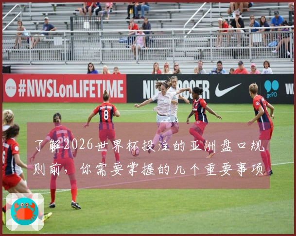 了解2026世界杯投注的亚洲盘口规则前，你需要掌握的几个重要事项