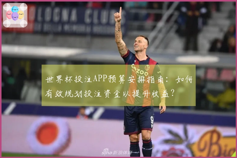 世界杯投注APP预算安排指南：如何有效规划投注资金以提升收益？